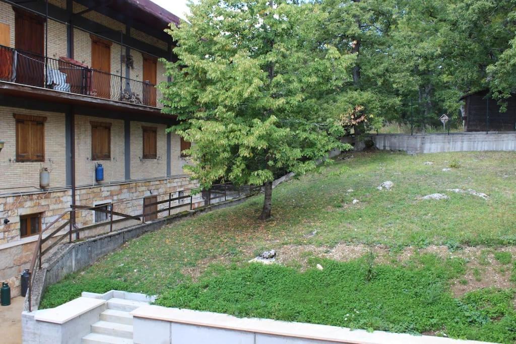 Апартаменты La Casa Di Minu Рокказаро Экстерьер фото